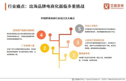 2023年中國品牌電商服務行業深度解析 信息咨詢服務的價值重塑與增長路徑